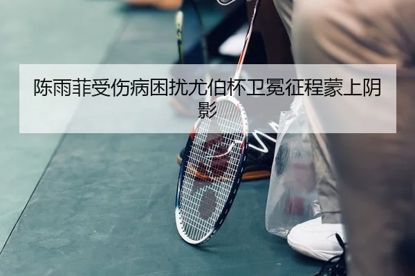 chen-yu-fei-shou-shang-bing-kun-rao-you-bo-bei-wei-mian-zheng-cheng-meng-shang-yin-ying-2-565.jpg