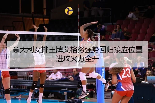 yi-da-li-nv-pai-wang-pai-ai-ge-nu-qiang-shi-hui-gui-jie-ying-wei-zhi-jin-gong-huo-li-quan-kai-2-481.jpg